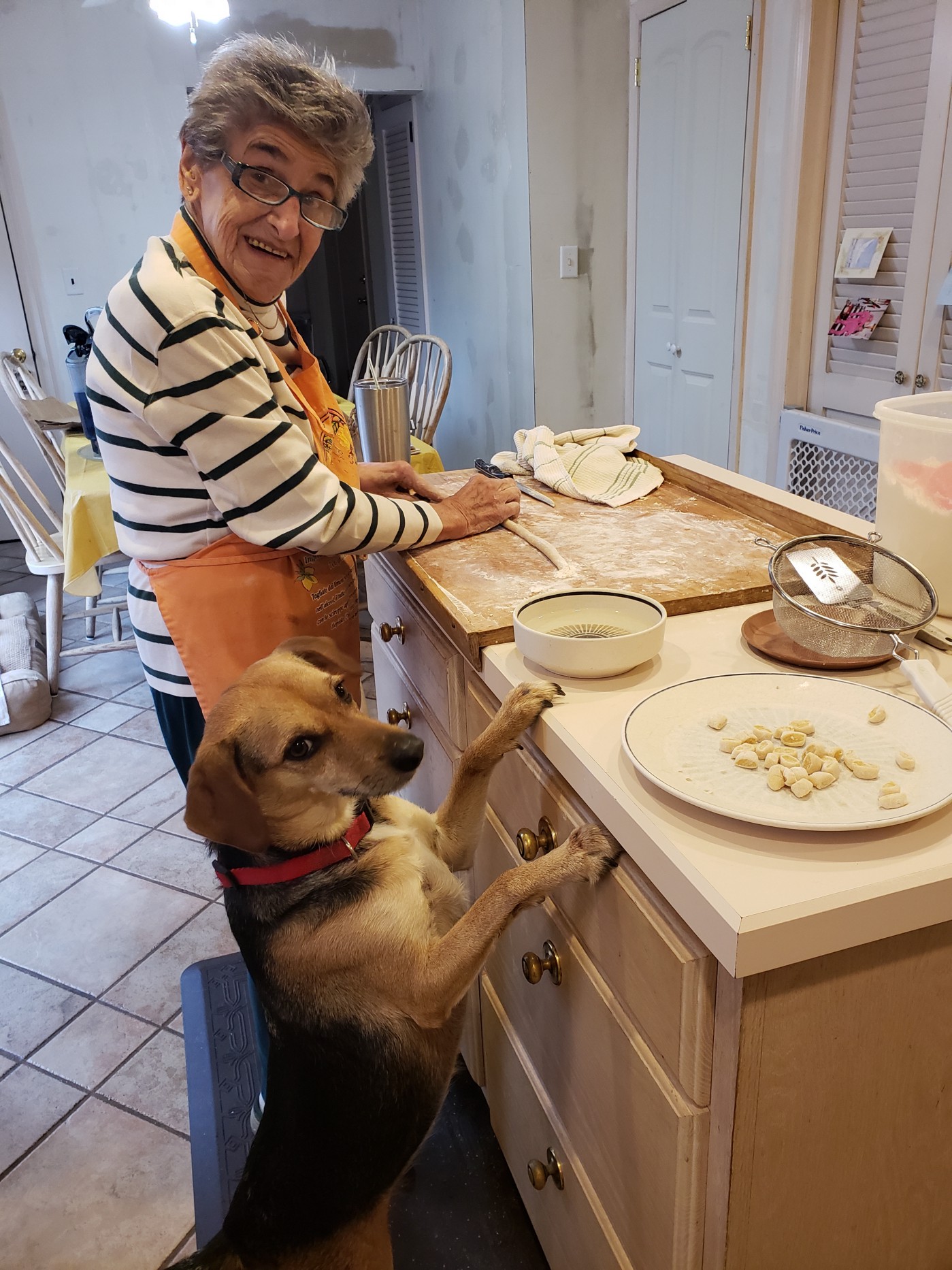 nana dog