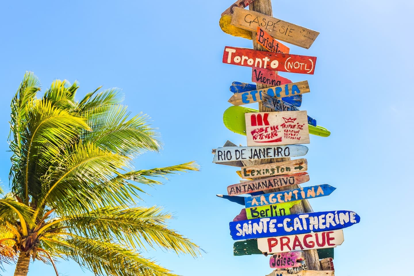 Work Abroad Without Experience: The Best Entry Level Remote Jobs
